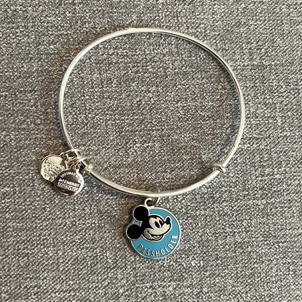 Alex and Ani Bracelet Silver